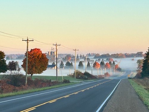 Photo of Culloden Line on a fall morning with trees changing colour to red and orange and a mist covering the ground.